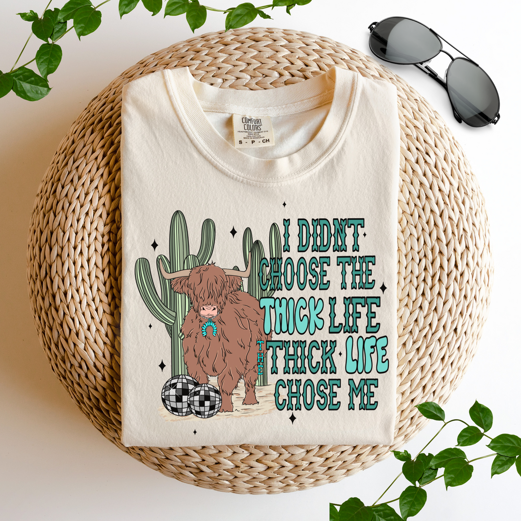 I Didn't Choose The Thick Life Tee